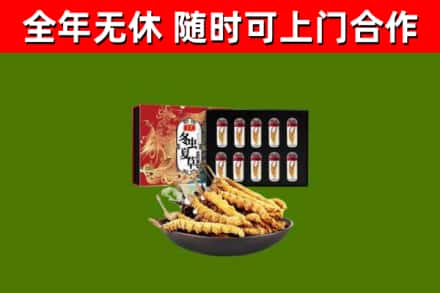 阆中市回收冬虫夏草价格