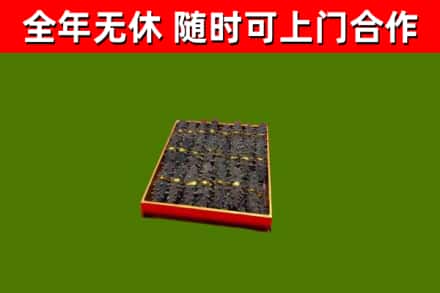 阆中市回收海参